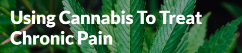 cannabis_logo